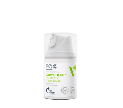 CARYODENT TOOTHPASTE 50 ml